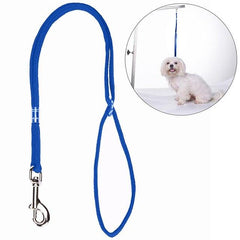 Durable Nylon Grooming Loop Harness Leash for Dogs - dealskart.com.au