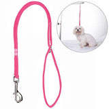 Durable Nylon Grooming Loop Harness Leash for Dogs - dealskart.com.au