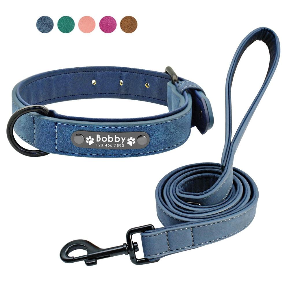 Easy-Wear Dog Collar with Leash- Small/Medium/Large-sized Dog - dealskart.com.au