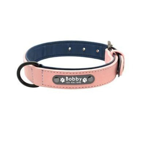 Easy-Wear Dog Collar with Leash- Small/Medium/Large-sized Dog - dealskart.com.au