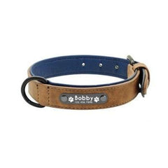 Easy-Wear Dog Collar with Leash- Small/Medium/Large-sized Dog - dealskart.com.au