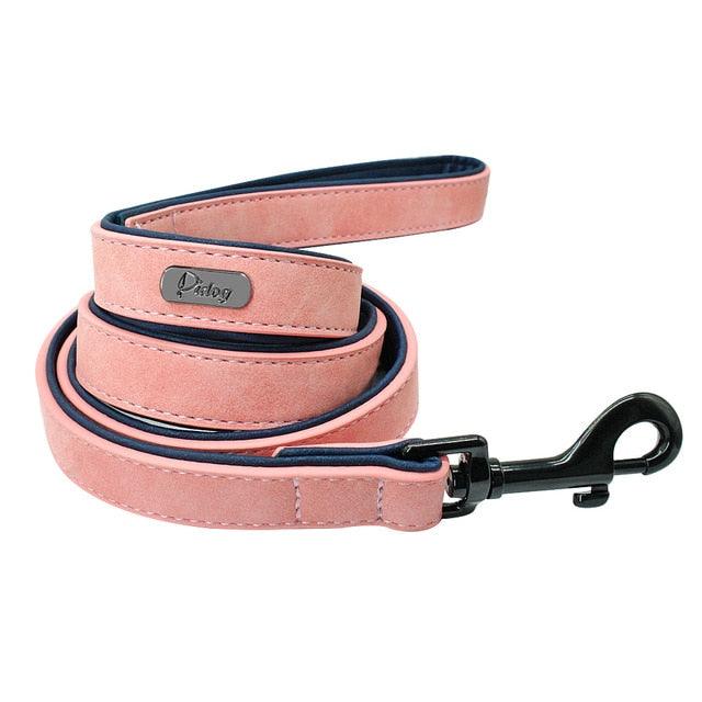 Easy-Wear Dog Collar with Leash- Small/Medium/Large-sized Dog - dealskart.com.au