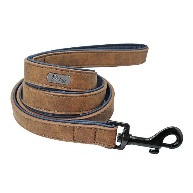 Easy-Wear Dog Collar with Leash- Small/Medium/Large-sized Dog - dealskart.com.au