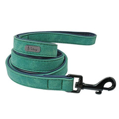 Easy-Wear Dog Collar with Leash- Small/Medium/Large-sized Dog - dealskart.com.au