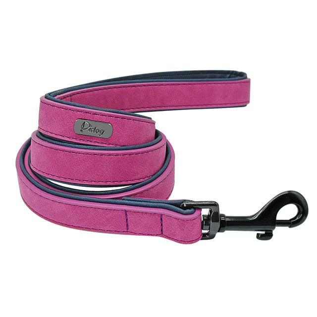 Easy-Wear Dog Collar with Leash- Small/Medium/Large-sized Dog - dealskart.com.au