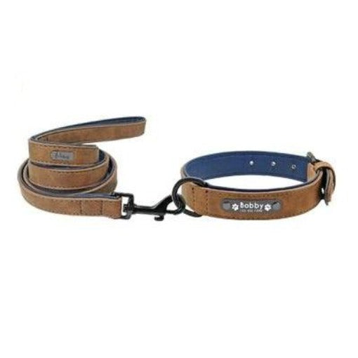 Easy-Wear Dog Collar with Leash- Small/Medium/Large-sized Dog - dealskart.com.au