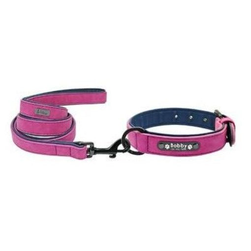 Easy-Wear Dog Collar with Leash- Small/Medium/Large-sized Dog - dealskart.com.au