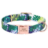 Daisy Floral Pattern Collar for Small, Medium and Large-sized Dogs - dealskart.com.au