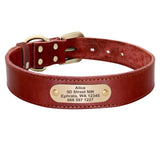 Custom Leather Dog Collar and Leash Set for Small/Medium/large sized dogs - dealskart.com.au