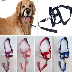 Adjustable Harness Muzzle Belt Dog Collar - dealskart.com.au