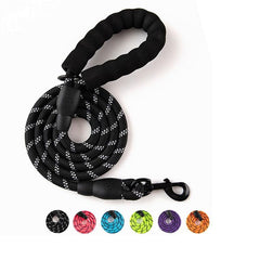 Nylon Training Dog Leash- 6 colour variants - dealskart.com.au