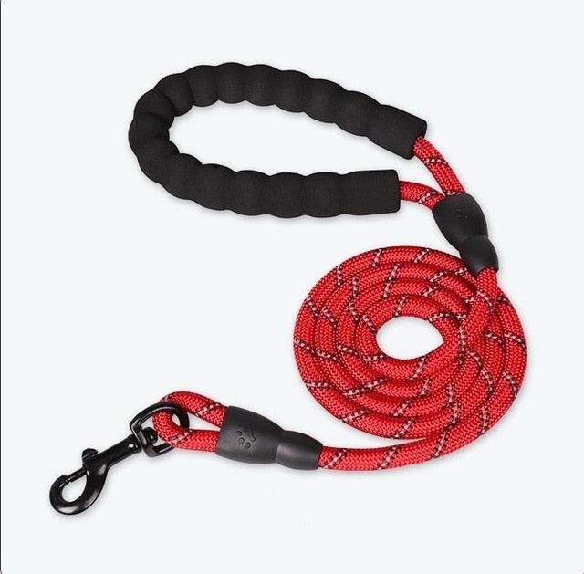 Nylon Training Dog Leash- 6 colour variants - dealskart.com.au