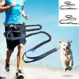 Reflective Waist Belt and Dog Leash for Running - dealskart.com.au