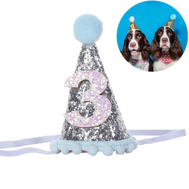 Pet Celebrations Party Celebration Hat - dealskart.com.au