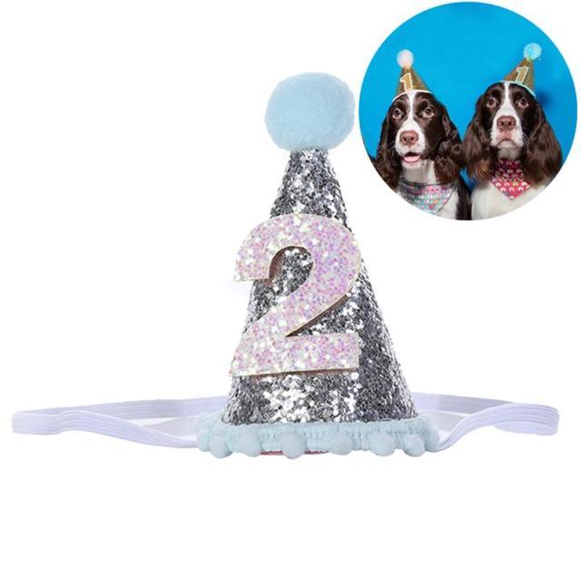 Pet Celebrations Party Celebration Hat - dealskart.com.au