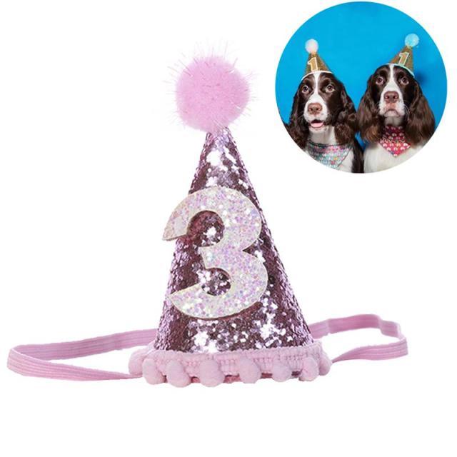 Pet Celebrations Party Celebration Hat - dealskart.com.au