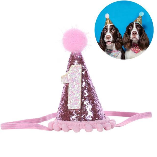 Pet Celebrations Party Celebration Hat - dealskart.com.au