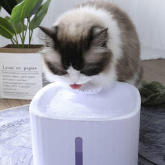 Pet Accessories- Cat’s Water Dispenser Fountain Drinking Bowl - dealskart.com.au